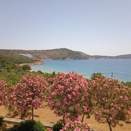 Skoutari Beach Hotel Exteriör bild