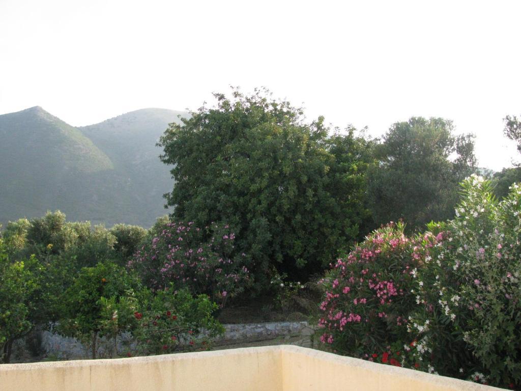 Skoutari Beach Hotel Rum bild