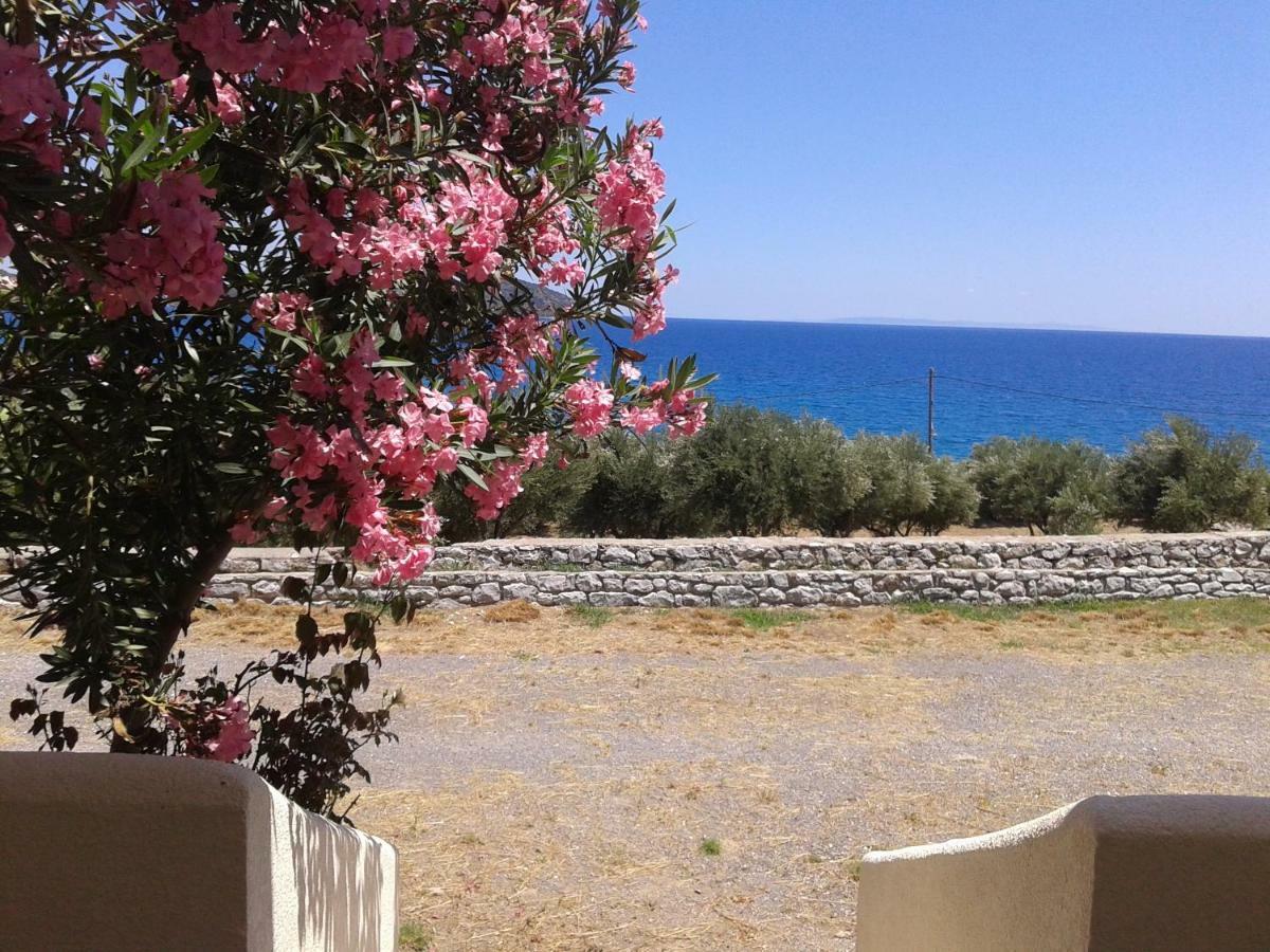 Skoutari Beach Hotel Exteriör bild