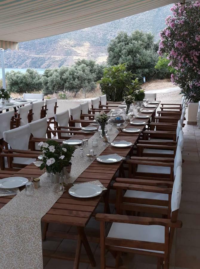 Skoutari Beach Hotel Exteriör bild